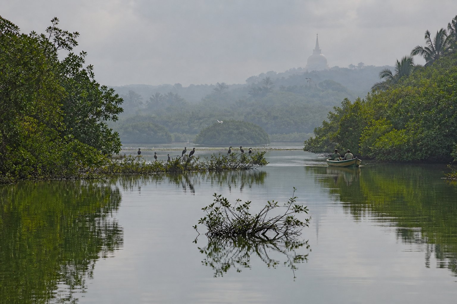 Muthurajawela Wetlands